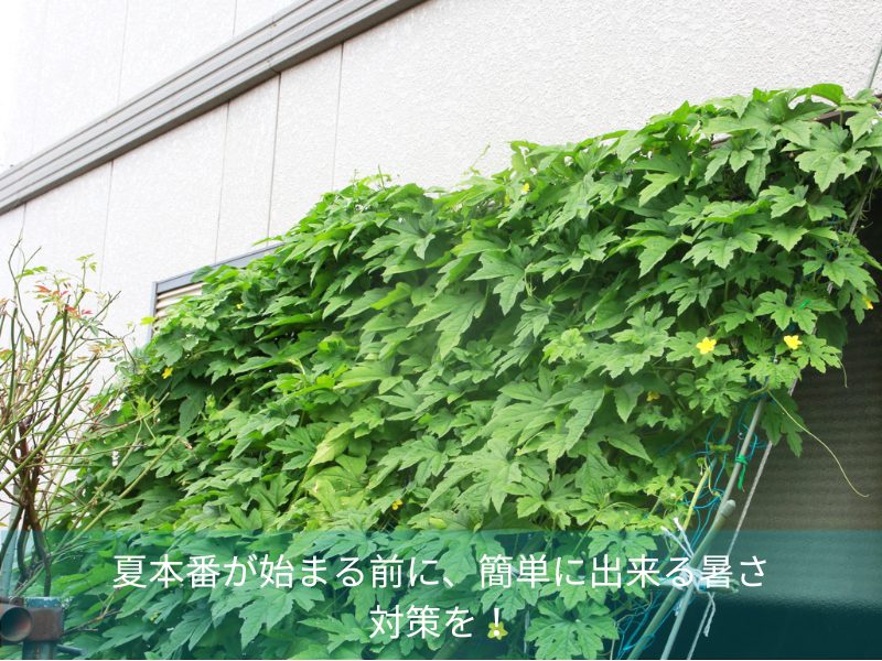 夏本番が始まる前に、簡単に出来る暑さ対策を！