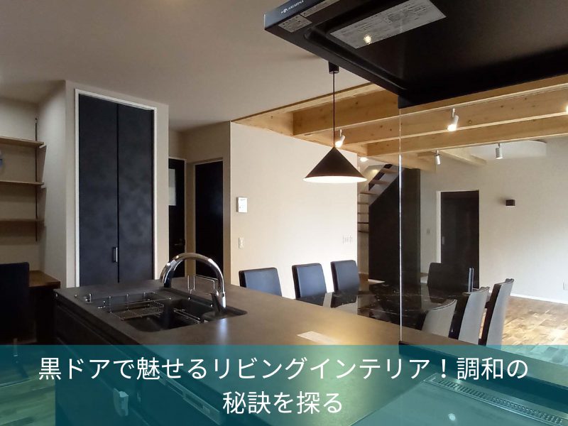 黒ドアで魅せるリビングインテリア！調和の秘訣を探る
